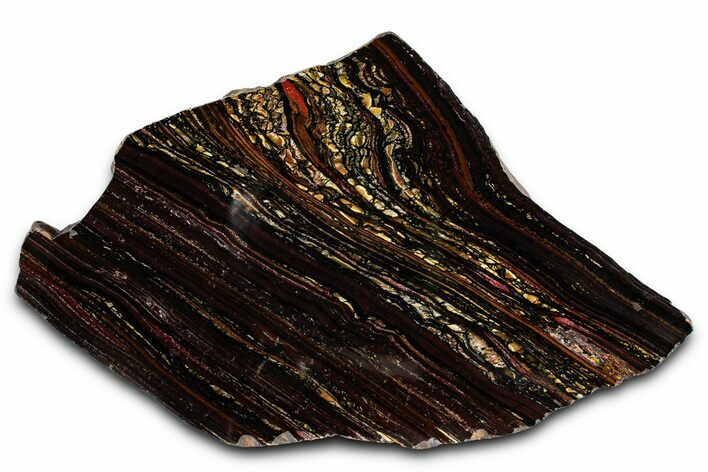 Polished Tiger Iron Stromatolite Slab - Billion Years #353239